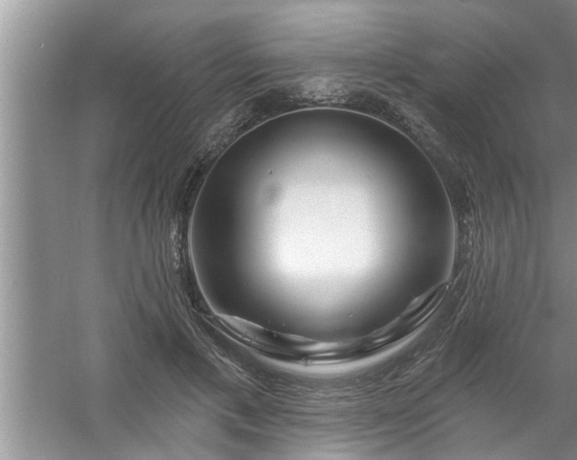 X0000058830597200510071823