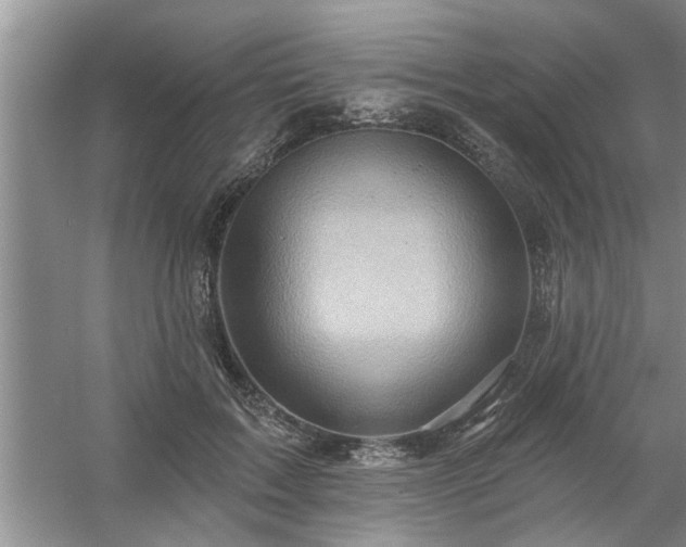 X0000058830603200510071823