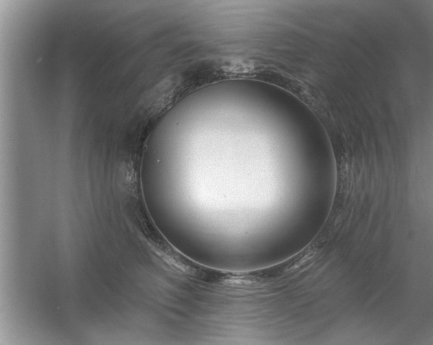 X0000058830614200510071823