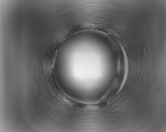 X0000058830617200510071823