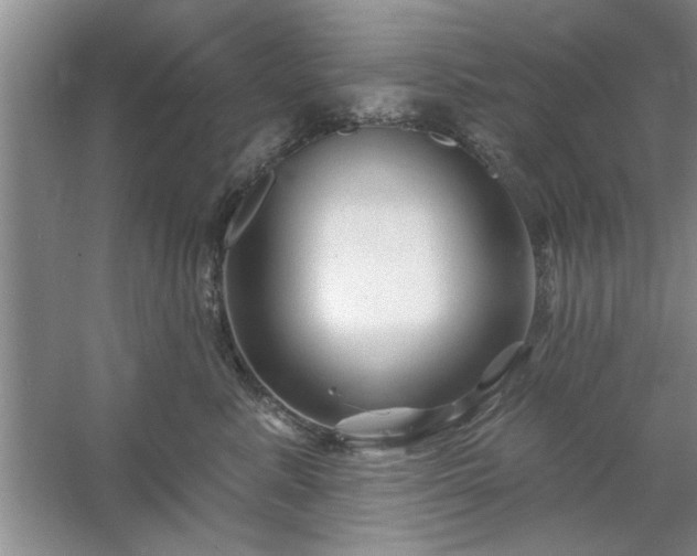 X0000058830619200510071822