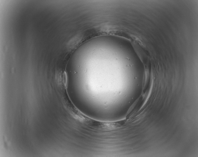 X0000058830623200510071822