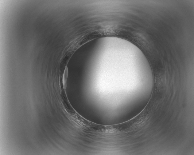 X0000058830645200510071822