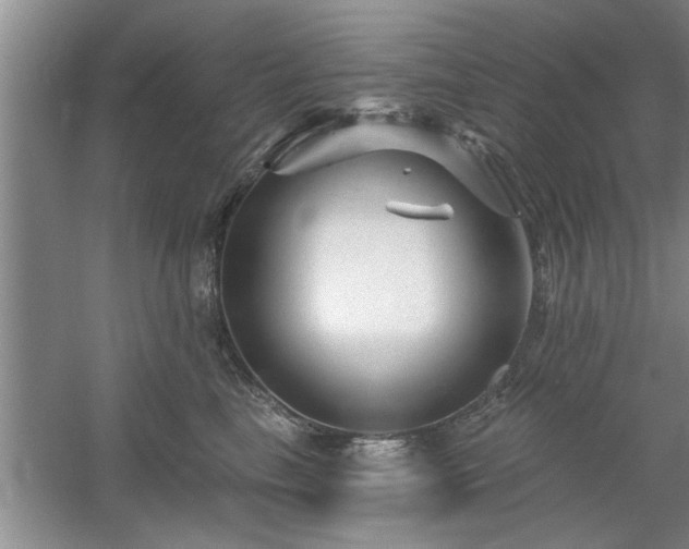 X0000058830665200510071822