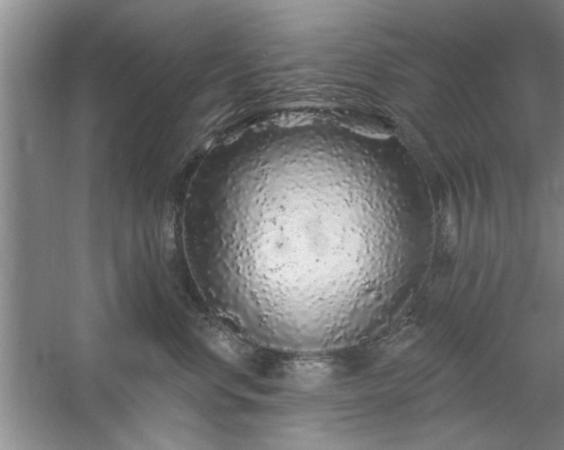 X0000058830668200510071822