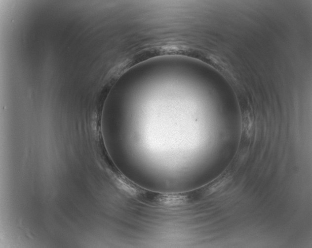 X0000058830670200510071822