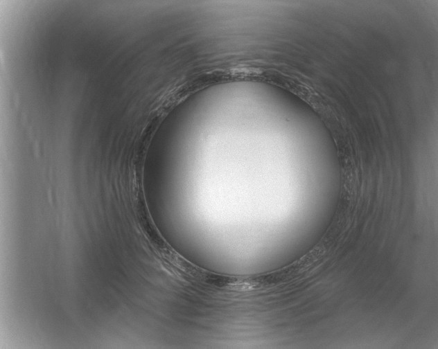 X0000058830704200510071821