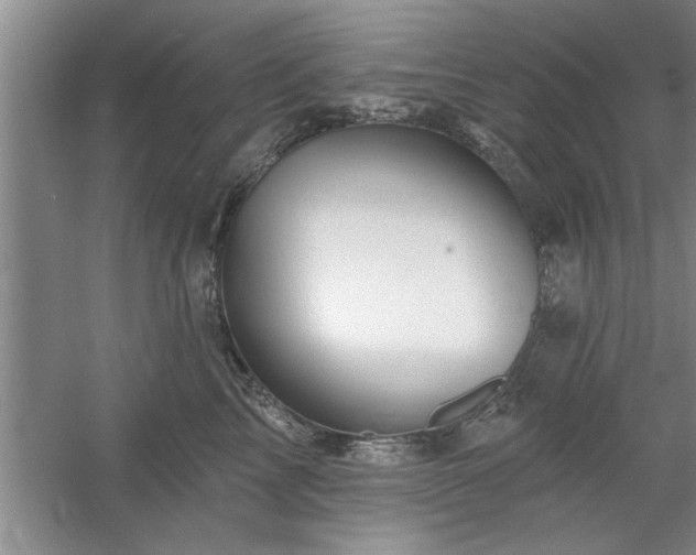 X0000058830713200510071821