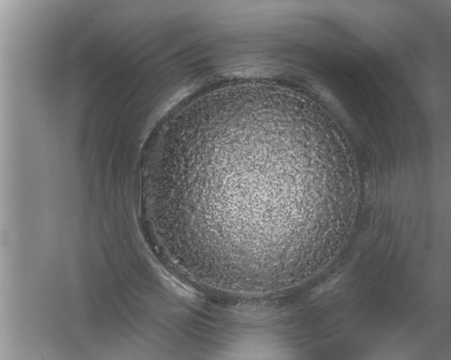 X0000058830725200510071820