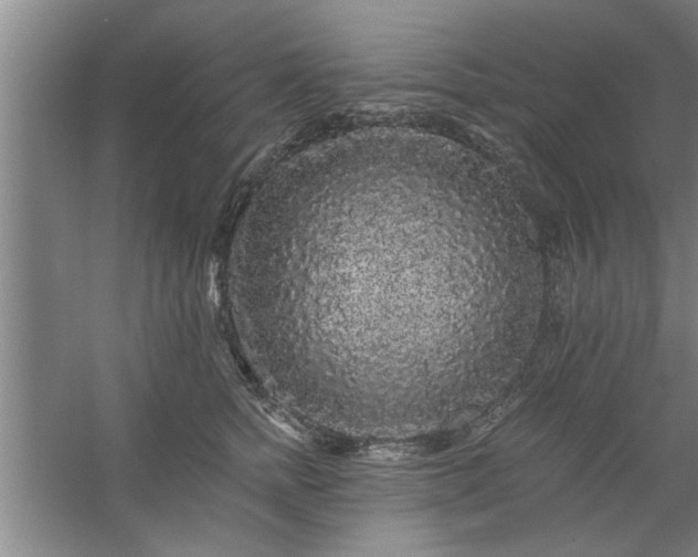 X0000058830758200510071821