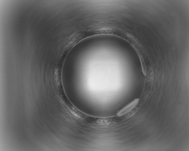 X0000058830764200510071821
