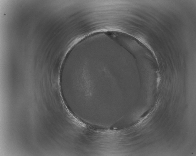 X0000058830797200510071819