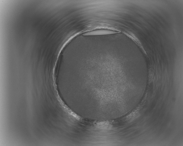 X0000058830798200510071819