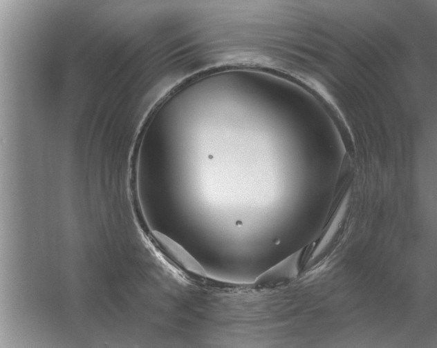 X0000058830799200510071819