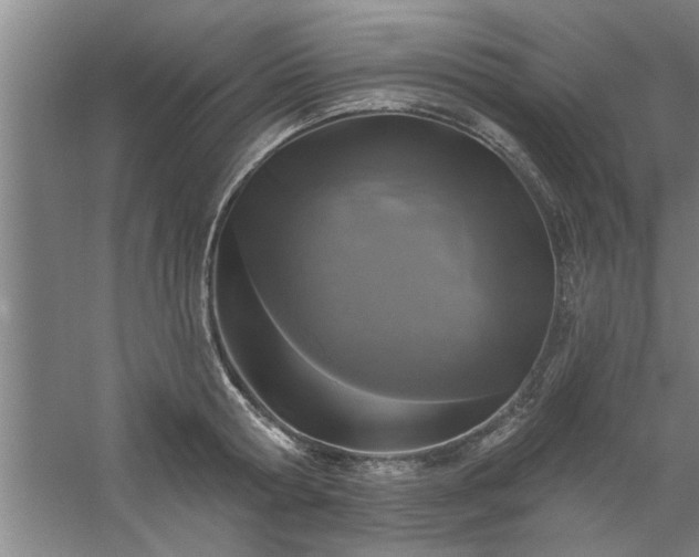 X0000058830802200510071819