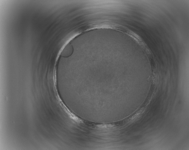 X0000058830804200510071819