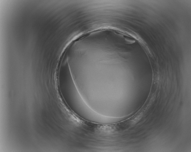 X0000058830806200510071819