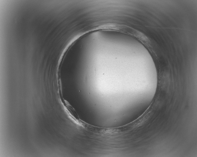 X0000058830808200510071819