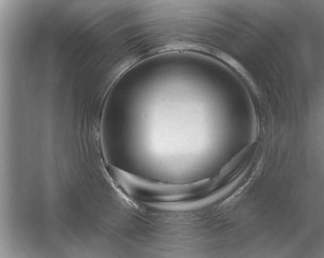 X0000058830809200510071819