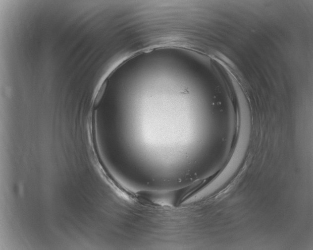 X0000058830812200510071819