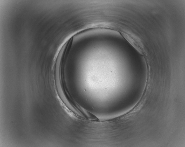 X0000058830816200510071819