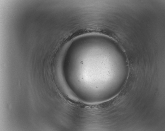 X0000058830817200510071818