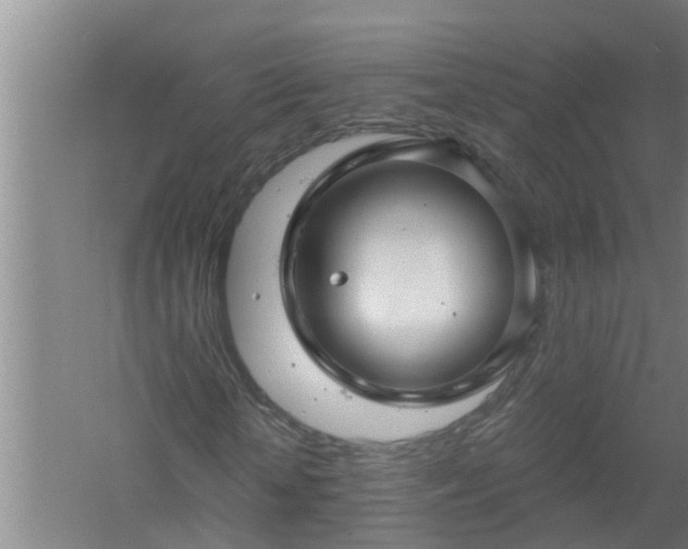 X0000058830818200510071818