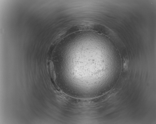 X0000058830819200510071818