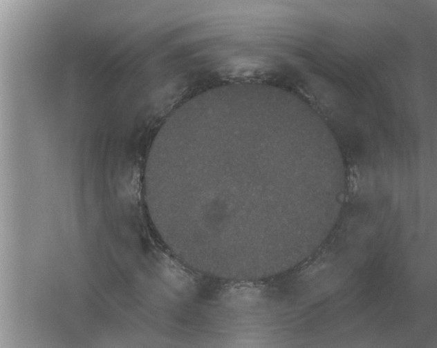 X0000058830820200510071818