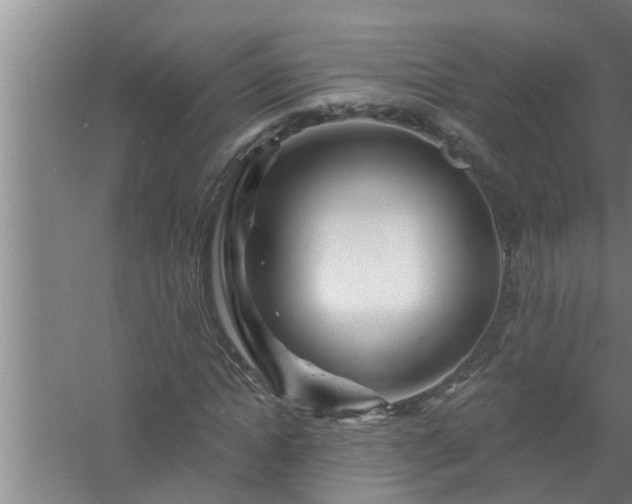 X0000058830822200510071818