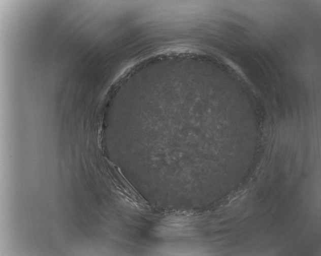 X0000058830823200510071818