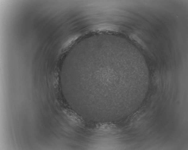 X0000058830824200510071818