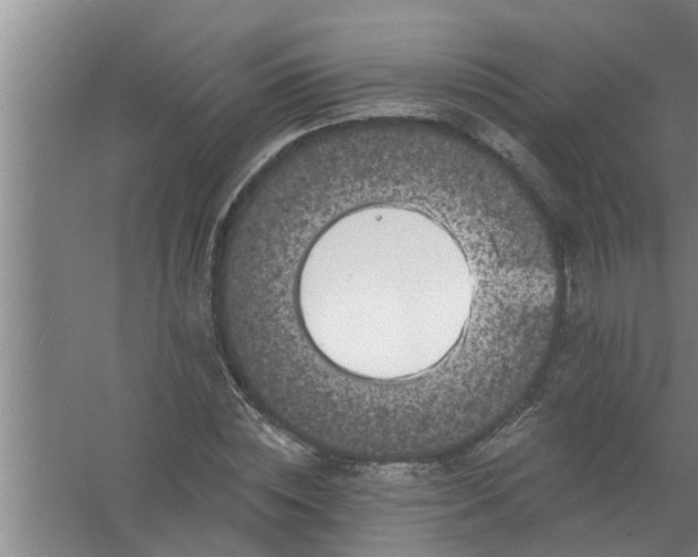 X0000058830828200510071819