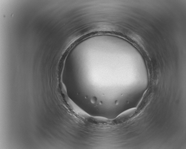 X0000058830829200510071819