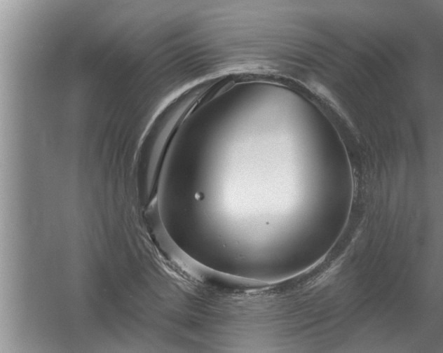 X0000058830830200510071819