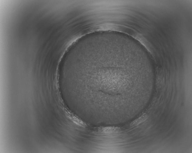 X0000058830832200510071819