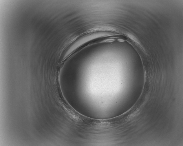 X0000058830833200510071819