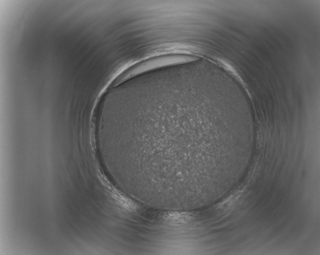 X0000058830835200510071819