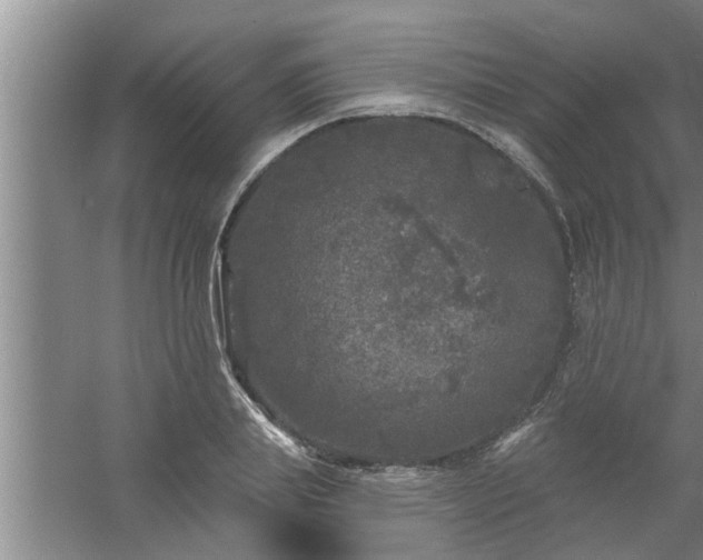 X0000058830839200510071819