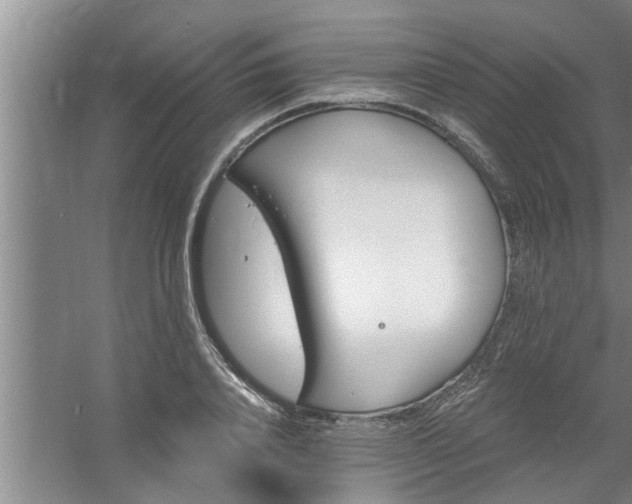 X0000058830840200510071819