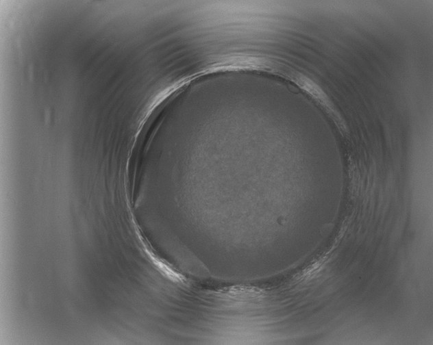 X0000058830842200510071819