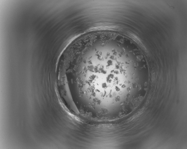 X0000058830844200510071819