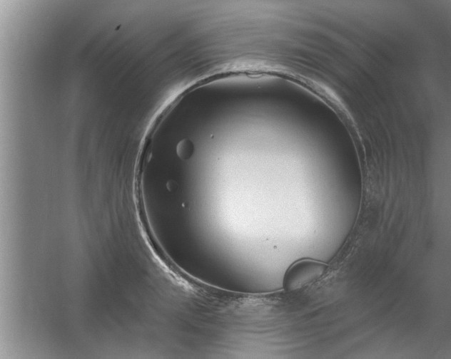 X0000058830847200510071819