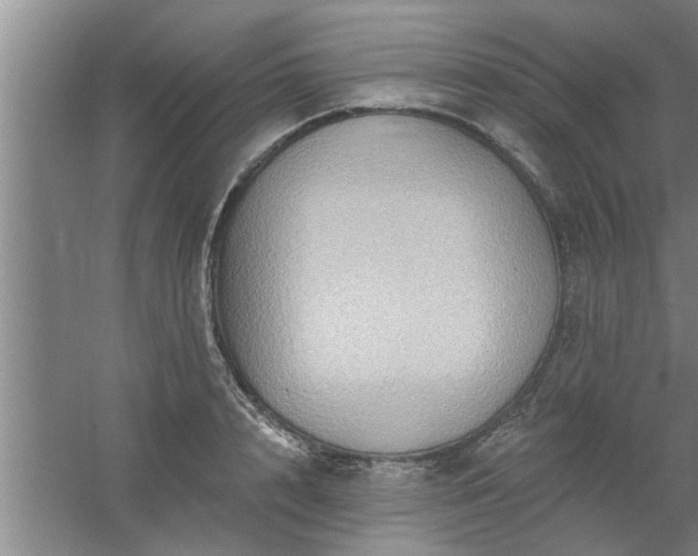 X0000058830848200510071819