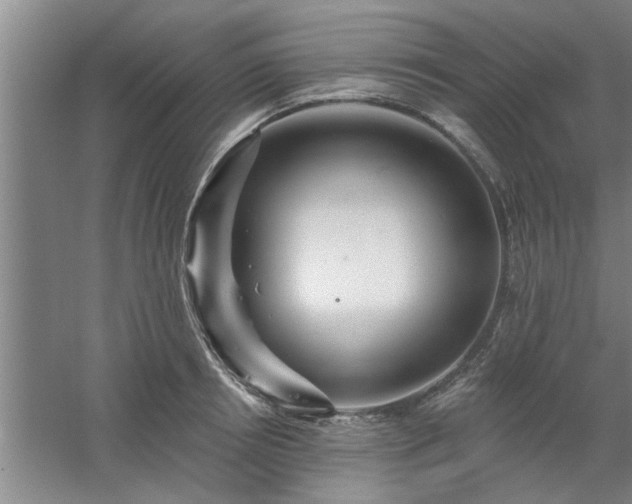 X0000058830850200510071819