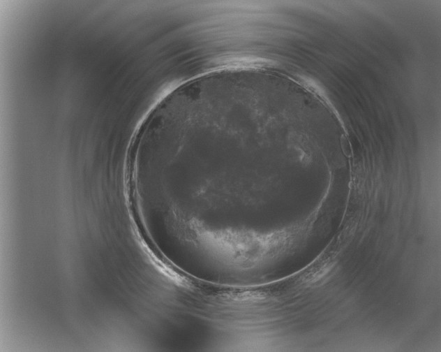 X0000058830851200510071819