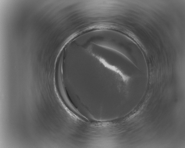 X0000058830853200510071819