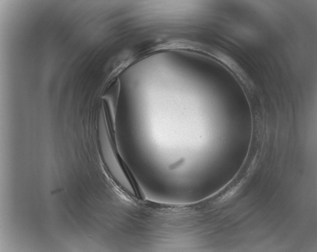 X0000058830857200510071819