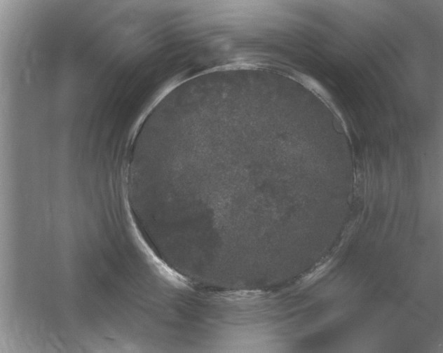 X0000058830859200510071819