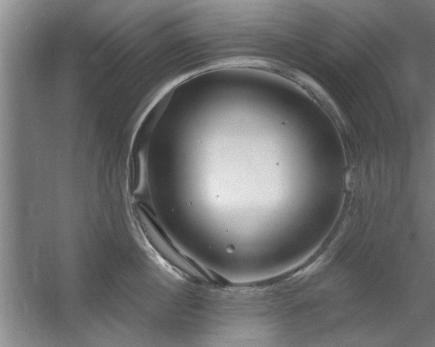 X0000058830860200510071819